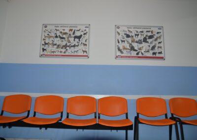 Veterinární klinika OK-VET