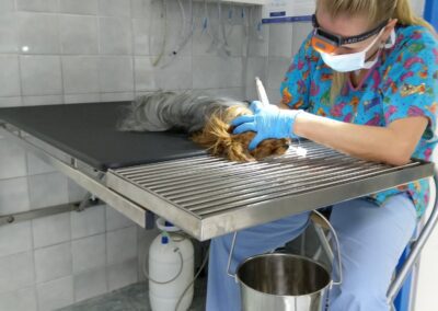 Veterinární klinika OK-VET