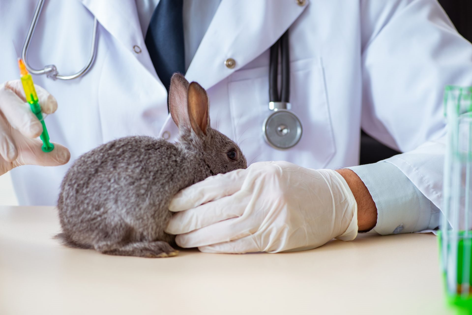 Veterinární klinika OK-VET Veterinární klinika OK-VET