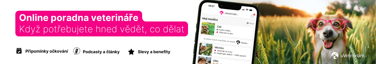 Online veterinární poradna zdarma pro naše klienty 24/7 Online veterinární poradna zdarma pro naše klienty 24/7